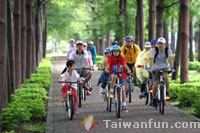 DongGuang Greenery 