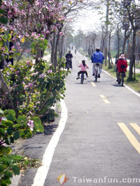雅神綠園道