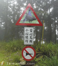 鳥世界‧新視野