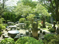 Yangming Spring