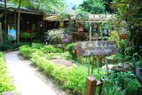 A Scenic Tour of Miaoli's Nanzhuang