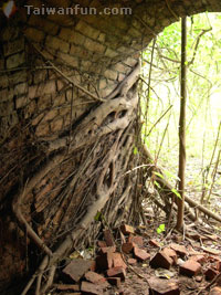 �n�x�W���u�~���