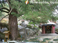 �����Q����