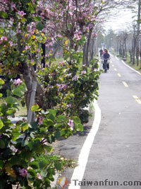 Tanyashen Green Bikeway