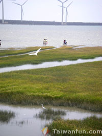 Gaomei Wetland