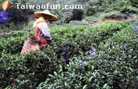 ���l���C�ߪ�