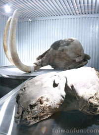 ����H�S�i�ШH�Τ@�U�K�d�~���B�쥨�~�Ӱ�!