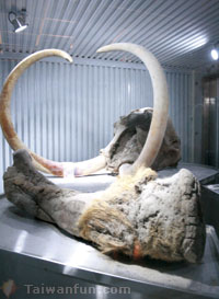 ����H�S�i�ШH�Τ@�U�K�d�~���B�쥨�~�Ӱ�!