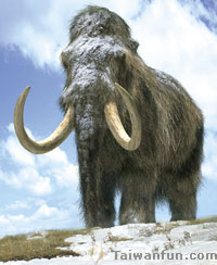 ����H�S�i�ШH�Τ@�U�K�d�~���B�쥨�~�Ӱ�!