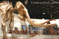 ����H�S�i�ШH�Τ@�U�K�d�~���B�쥨�~�Ӱ�!