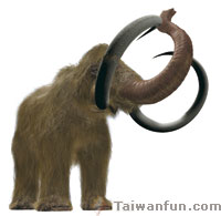 ����H�S�i�ШH�Τ@�U�K�d�~���B�쥨�~�Ӱ�!