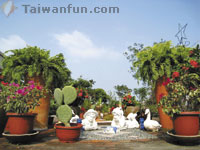 Jiou Ge Guo Zih: A garden oasis for fine dining