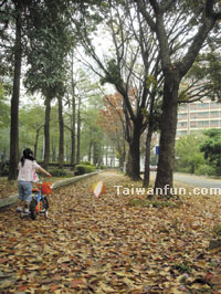 �󮩹D�����N��D