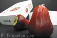 台灣生活好設計─生活美學主題特展