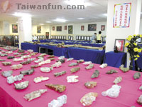 Museum of Alien Studies