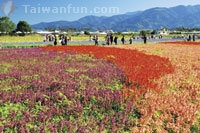 Naturally Resourceful Tourism