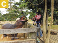 Tian Ma Farm 
