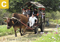 Wen Shan Recreation Farm 