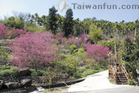 Tian Ti Hiking Trail 