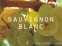 New Zealand Sauvignon Blancs for the summer