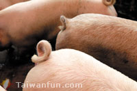 An all-new, healthy meat choice: Waipu Seaweed Pork