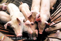An all-new, healthy meat choice: Waipu Seaweed Pork