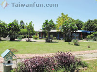 Urban farming: Taichung city residents return to the soil