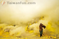 2012第八屆台灣國際紀錄片雙年展