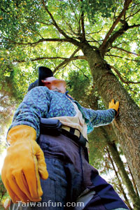 Believing in trees: The man who dedicates his life to growing trees