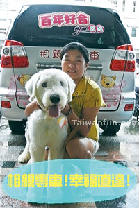 Showing some love for Taichung's "furkids"