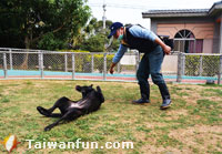 Showing some love for Taichung's "furkids"