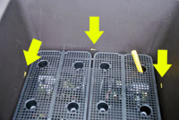 動手製作排水盆栽床