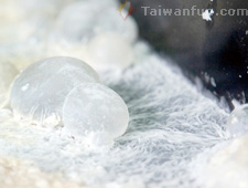 Zheng Hai Cheng Northern Delicacy 