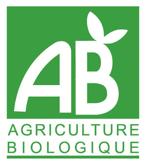 Natural Wine - Wine Nature