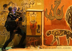 ��15�������C���v�i