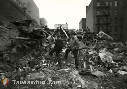 ��15�������C���v�i