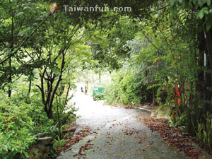 Camping out in Taichung's Guguan 