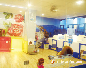 913 Pet Shop
