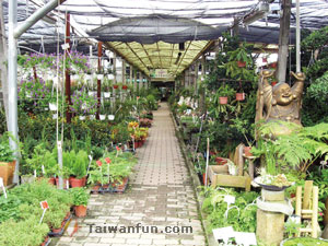 Tongsun Tourist Garden