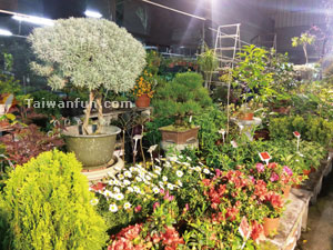 Zhen De Floral & Garden Supplies